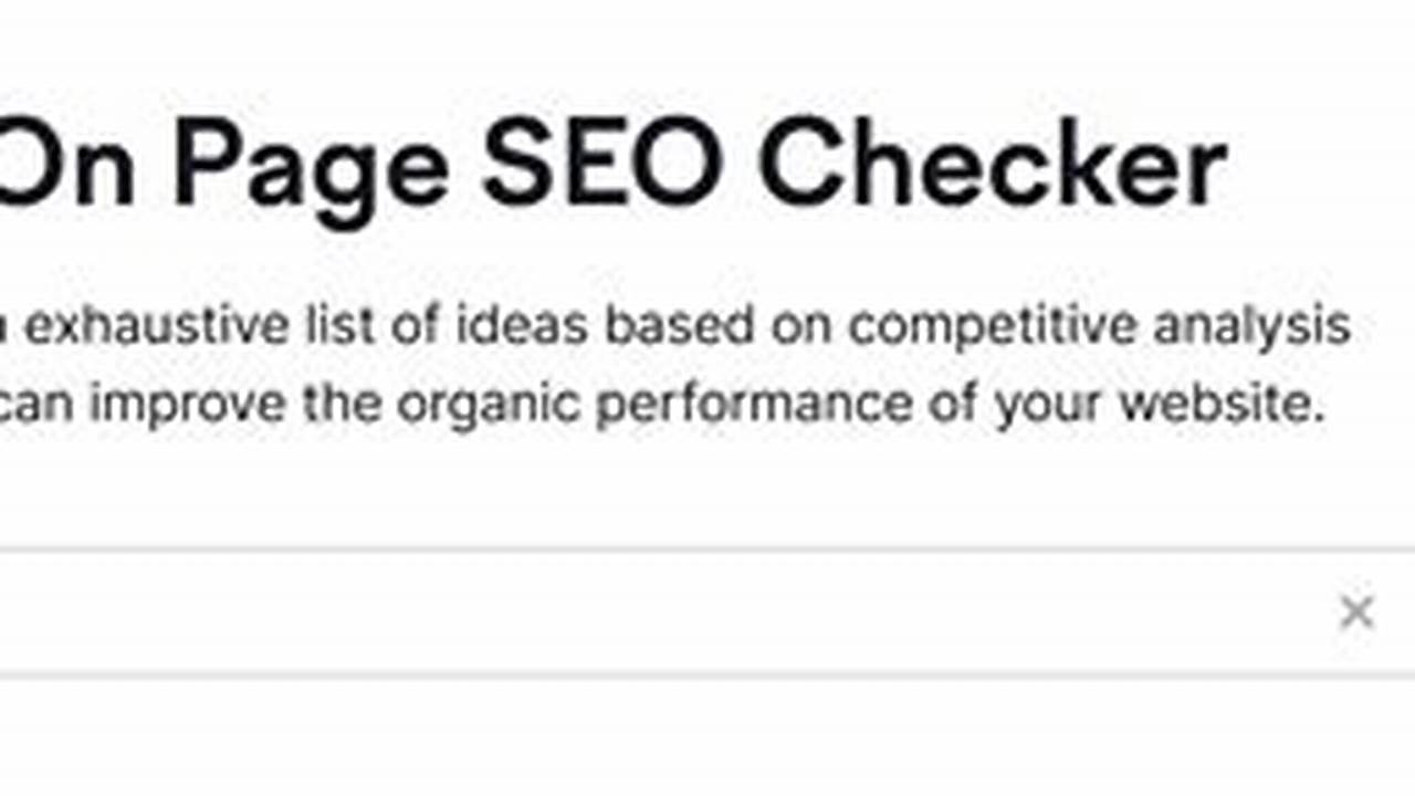 Top SEO Check Tools for Website Analysis